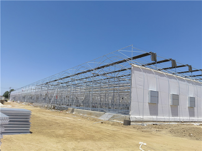 豪利777豪利777首页
厂家